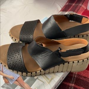 Sketchers shoes women’s size 10